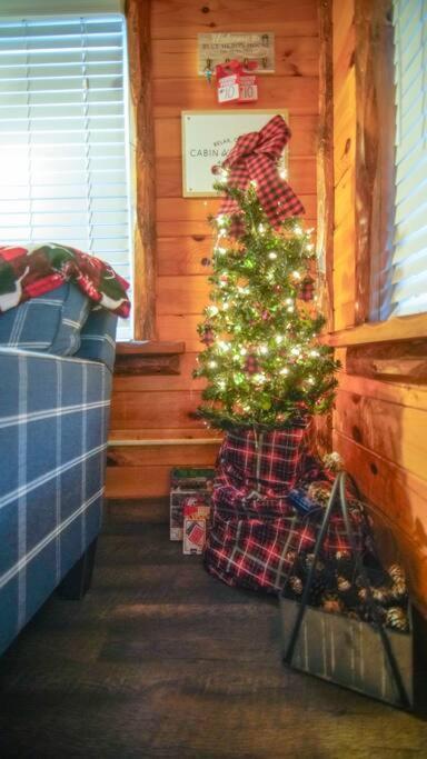 Charming Lakeview Cabin Near Geneva-On-The-Lake! Ashtabula Exterior foto
